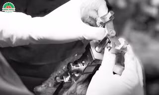 BVĐK Hồng Ngọc hợp tác với Giáo sư Nhật Bản, nâng tầm kỹ thuật thay khớp gối không cắt gân cơ 