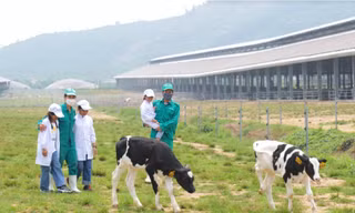 Vinamilk và Quỹ sữa Vươn cao Việt Nam tổ chức nhiều hoạt động đồng hành nhân dịp 15 năm thành lập