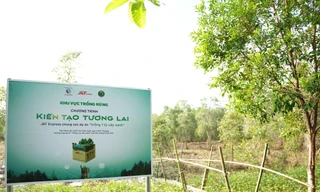 Dự án trồng rừng của J&T Express đạt tỷ lệ sống gần 100%