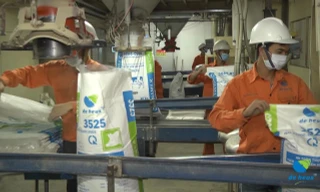 De Heus lập kỉ lục đạt 10 triệu tấn thức ăn chăn nuôi 