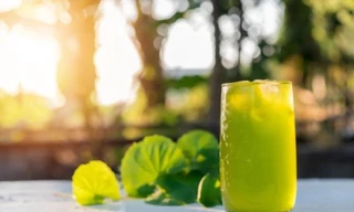 Rau má và những công dụng bất ngờ với người thường xuyên nóng trong, nhiệt miệng