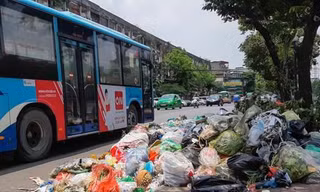 Đề nghị nghiên cứu quy trình phù hợp thực hiện trách nhiệm tái chế chất thải