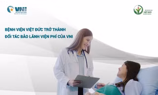 Bảo hiểm hàng không VNI nơi cung cấp các giải pháp an toàn và phát triển bền vững