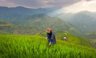 Manulife phối hợp Diễn đàn Kinh tế Thế giới phát động cuộc thi 'Đổi mới vì Tương lai Dân số Châu Á'