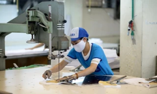 EVFTA đang được khai thác hiệu quả