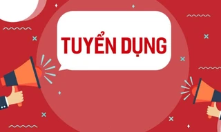 Thông báo tuyển dụng Tổng giám điều hành