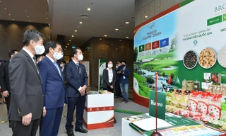 BRG quảng bá hình ảnh và sản phẩm tại sự kiện Ngoại giao lớn năm 2021