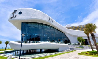 Hành trình vị giác độc đáo và đa dạng tại NovaWorld Ho Tram