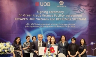 UOB Việt Nam tài trợ tín dụng xanh thúc đẩy sản xuất dừa bền vững