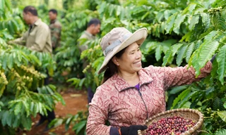 Nestlé Việt Nam thúc đẩy kinh tế tuần hoàn để kiến tạo giá trị bền vững