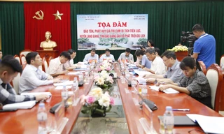 Lạng Giang đạt nhiều kết quả nổi bật trong lĩnh vực văn hóa- xã hội