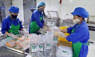 Huyện Thanh Oai (Hà Nội) nhân rộng các mô hình sản xuất nông nghiệp theo chuỗi, công nghệ cao