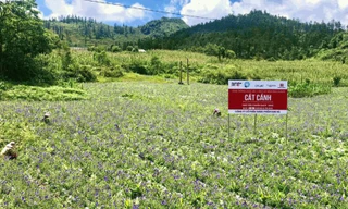 Dược Nam Hà mang 'dược phẩm xanh' tới các gia đình Việt