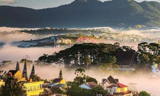 Tận hưởng trọn vẹn mọi vẻ đẹp Đà Lạt chỉ trong một ngày