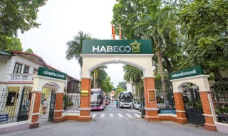 Habeco báo lãi quý 3 cao nhất trong vòng 4 năm, đạt hơn 340 tỷ đồng