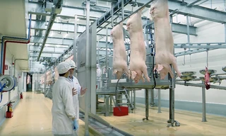 Bí quyết chọn mua thịt tươi ngon cho nhịp sống hiện đại