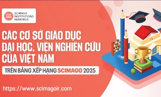Các cơ sở giáo dục đại học, viện nghiên cứu của Việt Nam trên bảng xếp hạng SCImago 2025