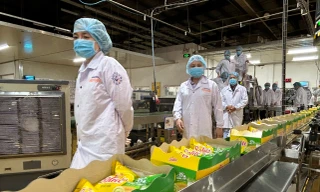 Mondelez Kinh Đô tổ chức 'Hội thảo kết nối cung – cầu trứng gà cage-free'