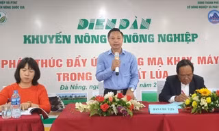 Đẩy mạnh cơ giới hóa khâu gieo cấy lúa