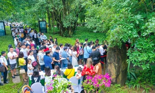 Khách xếp hàng cả cây số để xem nhà mẫu và mua nhà tại Ecopark