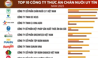 Top 10 Công ty Thức ăn chăn nuôi uy tín năm 2023
