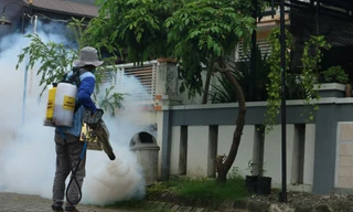 Cảnh báo nguy cơ sốt xuất huyết Dengue bùng phát trái mùa