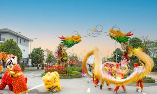 Triệu hương hoa, bùng sắc Tết tại đường hoa Home Hanoi Xuan 2024