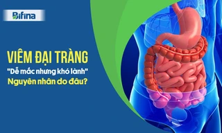 Bệnh đau đại tràng 'dễ mắc nhưng khó lành' - Nguyên nhân do đâu?