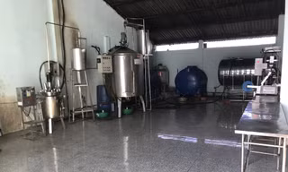 Biến gỗ keo thành 'thuốc bảo vệ thực vật sinh học'