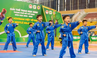 Khai mạc Giải Vovinam Việt Võ Đạo Cúp Nestlé MILO