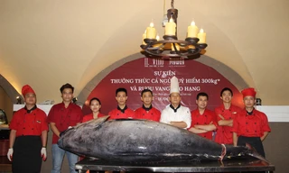 Độc đáo sự kiện thưởng thức cá ngừ đại dương khổng lồ 300kg tại My Way