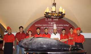Độc đáo sự kiện thưởng thức cá ngừ đại dương khổng lồ 300kg tại My Way