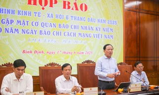 6 tháng đầu năm, Bình Định thu hút 58 dự án mới