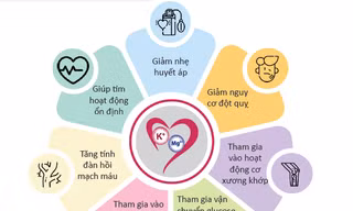Một số quan niệm sai về bổ sung Kali và Magnesi