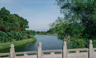 Như một vì tinh tú