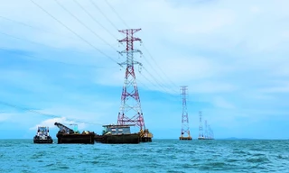 EVNSPC và hành trình 50 năm thắp sáng phương Nam 