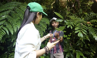 Sinh kế bền vững - giải pháp từ cộng đồng để giữ rừng, cứu sao la