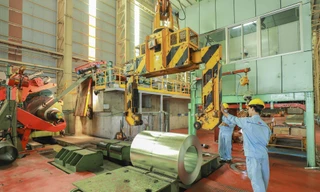 Tôn Phương Nam: Phần thưởng cho 25 năm không ngừng nỗ lực