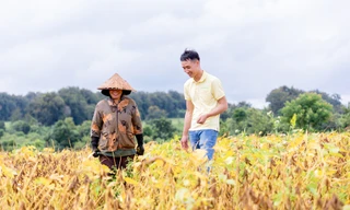 Nông dân hợp tác xã đậu nành Nam Dong chuẩn bị vào vụ mới