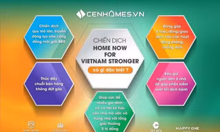 Bí quyết thành công của chiến dịch dẫn dắt thị trường BĐS 'Home now for Vietnam Stronger'