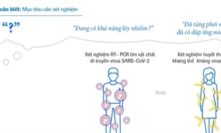 Roche và giải pháp tổng thể trong xét nghiệm COVID-19