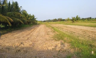 Keppel Land đưa nước sạch đến vùng hạn mặn tại Bến Tre với dự án Living Well 