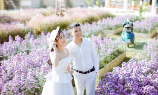 Rộn ràng mùa cúc hoạ mi giữa lòng thành phố Thanh Hoá