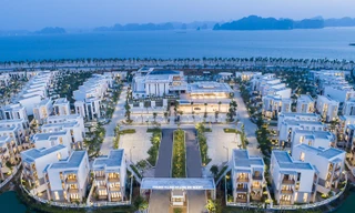 Hot nhất miền Bắc, Quảng Ninh rần rần du khách bởi những trải nghiệm mới 