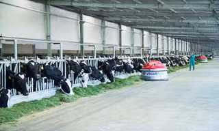 Vinamilk ra mắt hệ thống trang trại sinh thái Vinamilk Green Farm