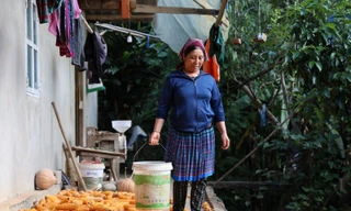 Tăng cường vị thế và tiếng nói của phụ nữ: Chuyện kể từ những đồng vốn không lãi suất