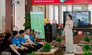 Thái Nguyên: Người dân trồng chè ở La Bằng với niềm vui an cư