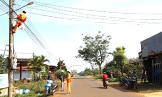 Nguồn điện kéo về tận nơi, buôn làng Đắk Nông bừng sáng