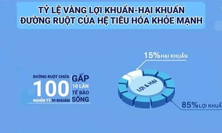 LiveSpo COLON - Men vi sinh hỗ trợ cải thiện triệu chứng viêm đại tràng sau 7 ngày