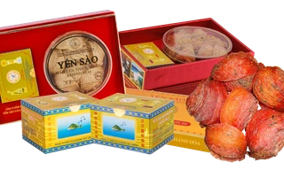 Yến sào Khánh Hòa – món quà thiên nhiên bổ dưỡng